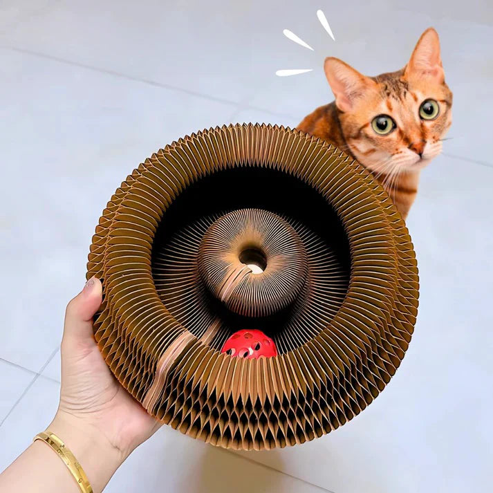 Viviguru™ The interactive mental physical exercise for cats