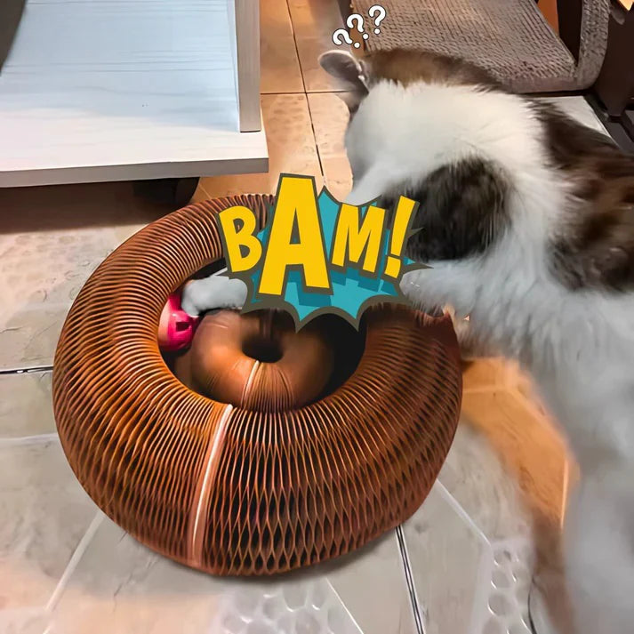 Viviguru™ The interactive mental physical exercise for cats