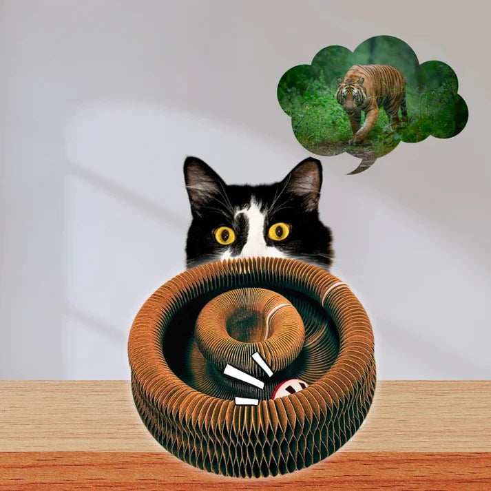 Viviguru™ The interactive mental physical exercise for cats